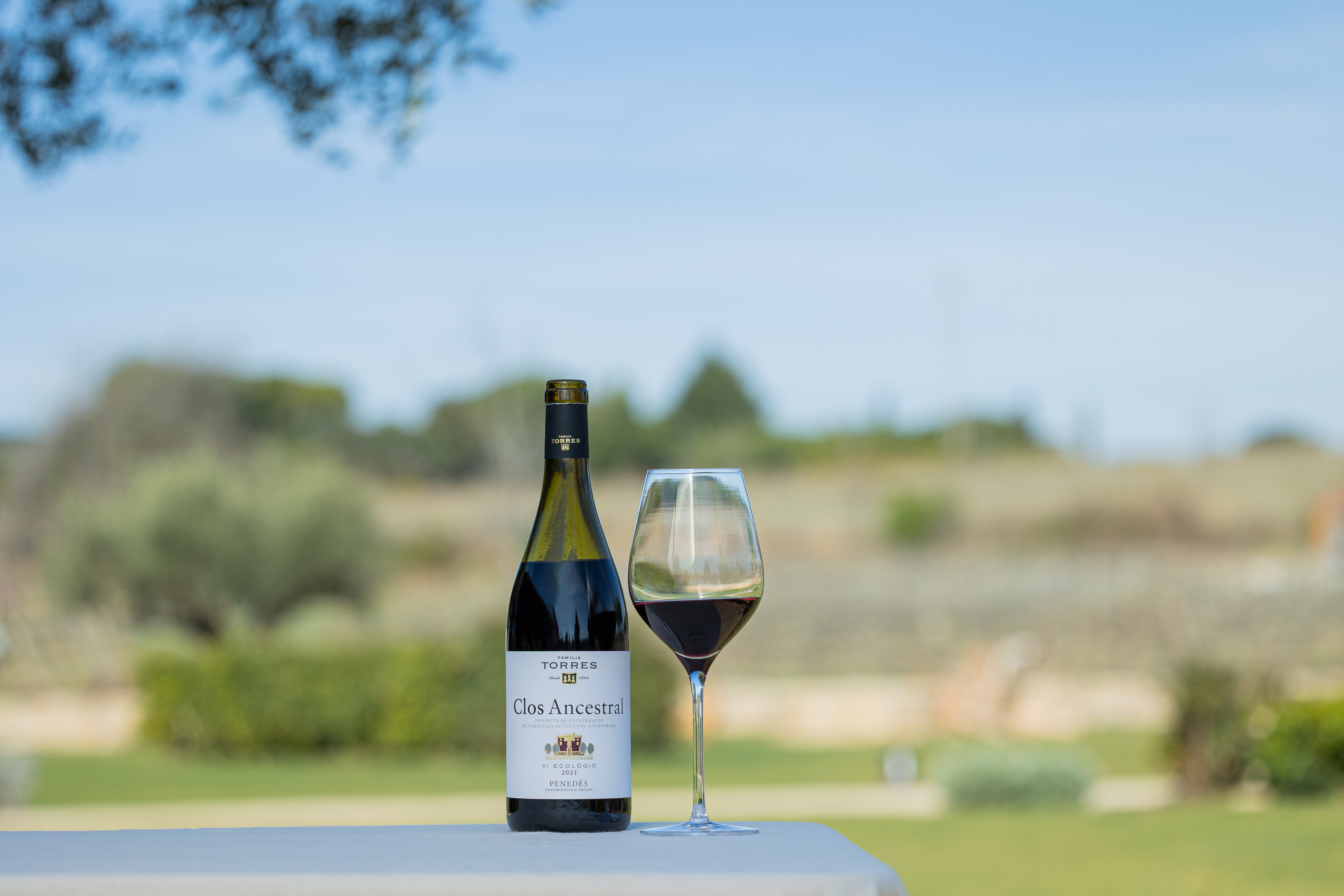 Clos Ancestral Tinto (DO Penedès)