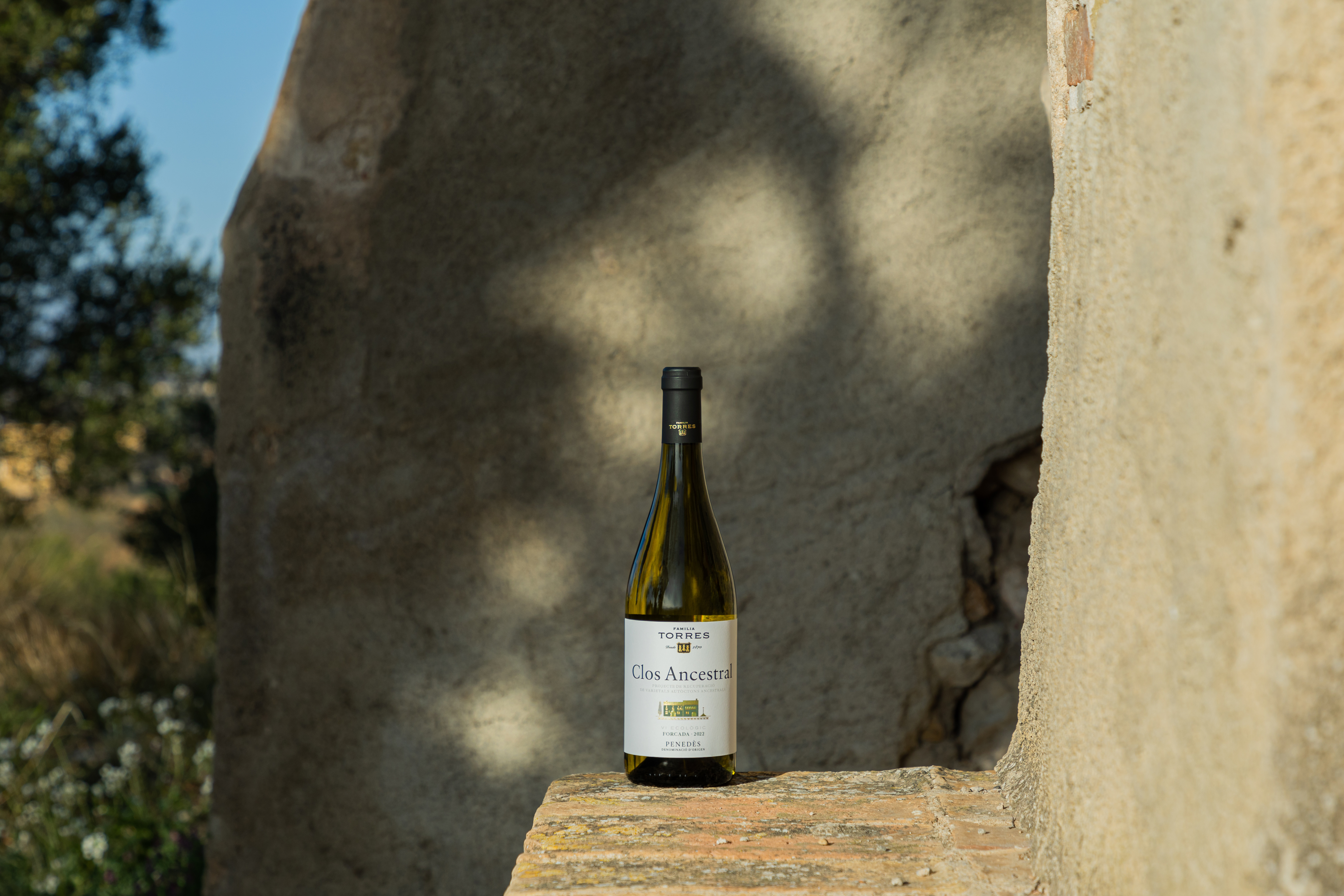 Clos Ancestral Blanco