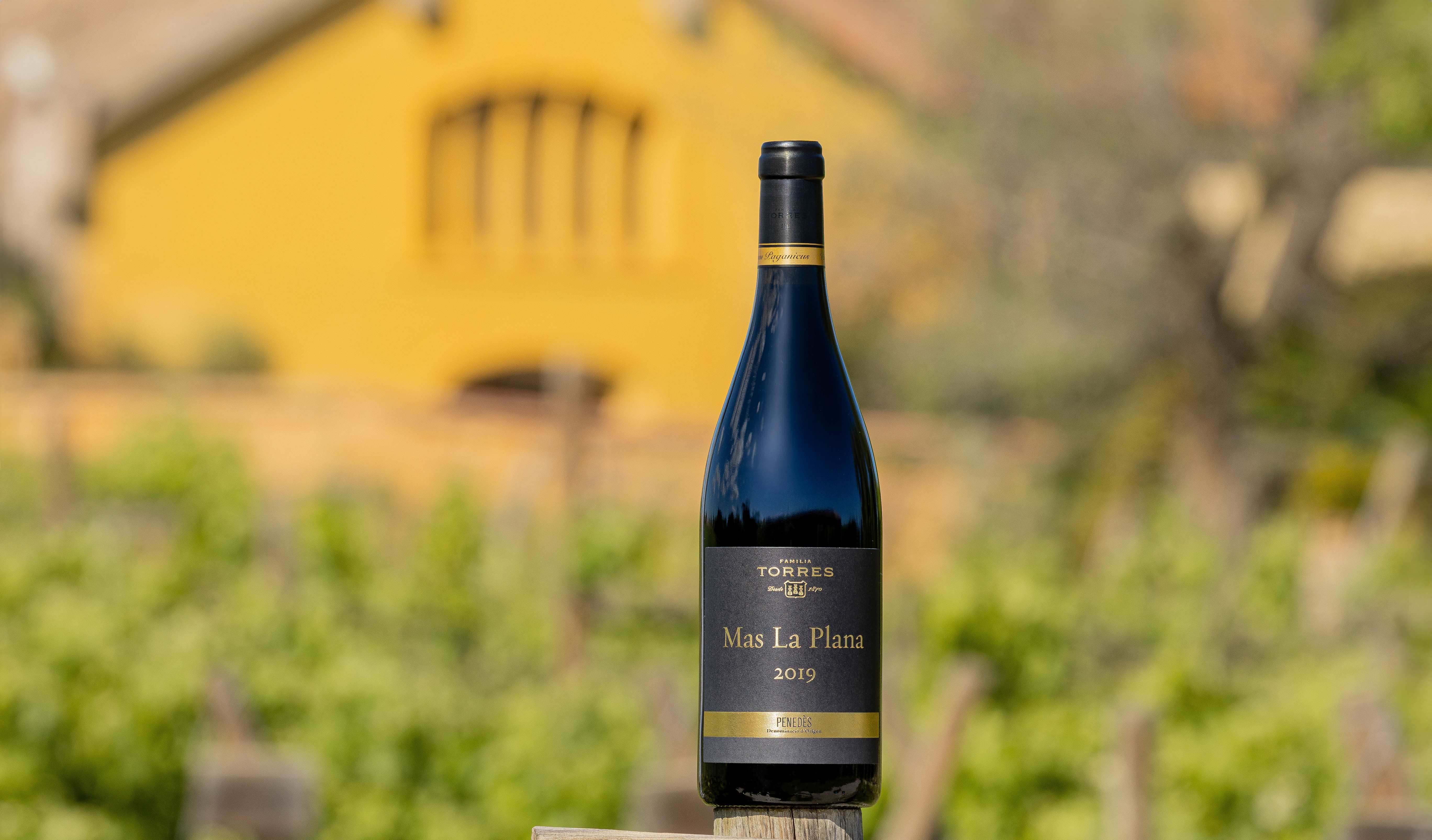 Mas La Plana, de la DO Penedès, está elaborado con la variedad cabernet Sauvignon