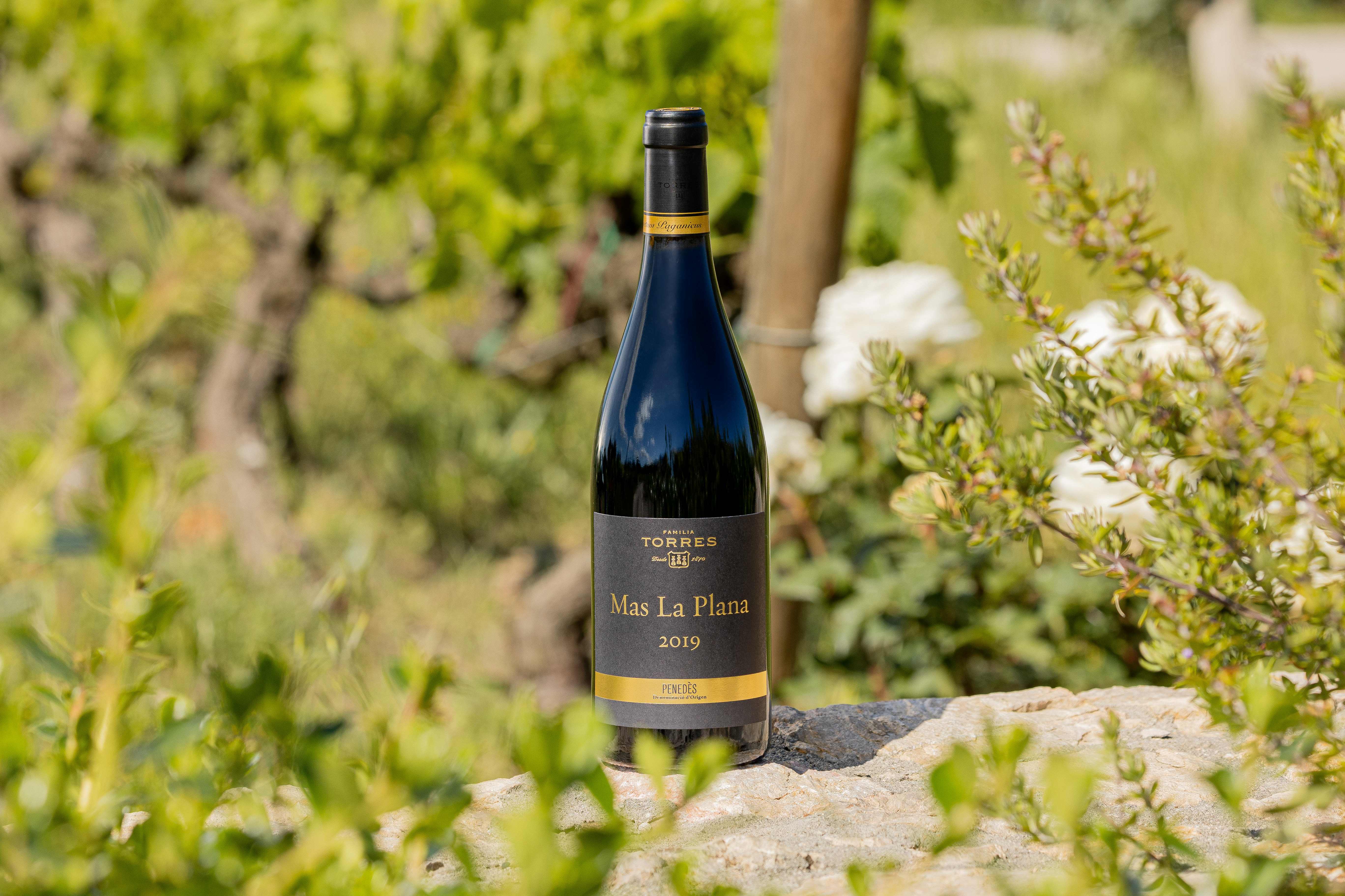 Mas La Plana es un vino elaborado con la variedad cabernet sauvignon y de la DO Penedès