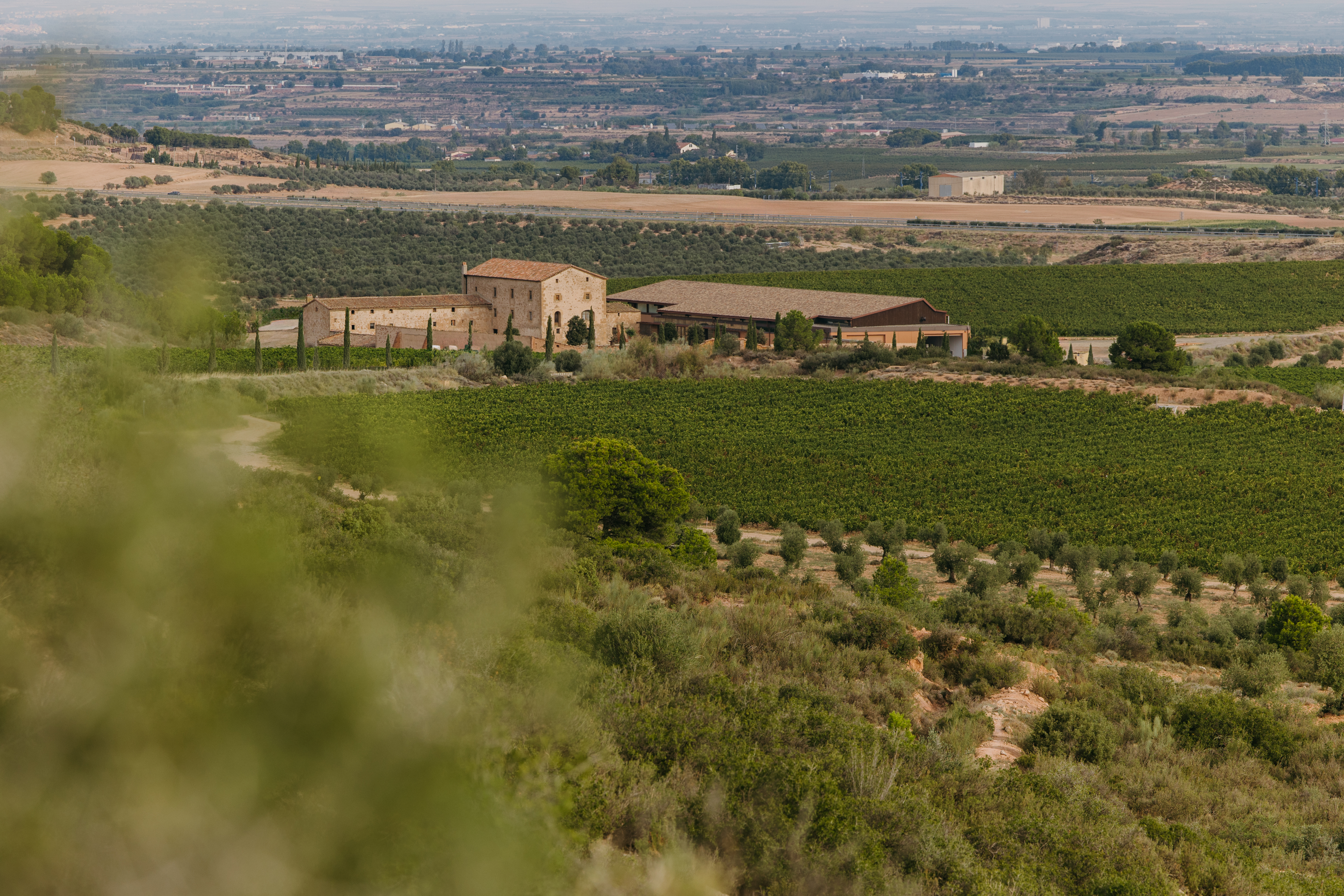 Finca Purgatori, propiedad de la Familia Torres, DO Costers del Segre
