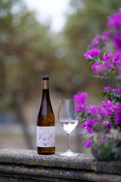 Waltraud, DO Penedès