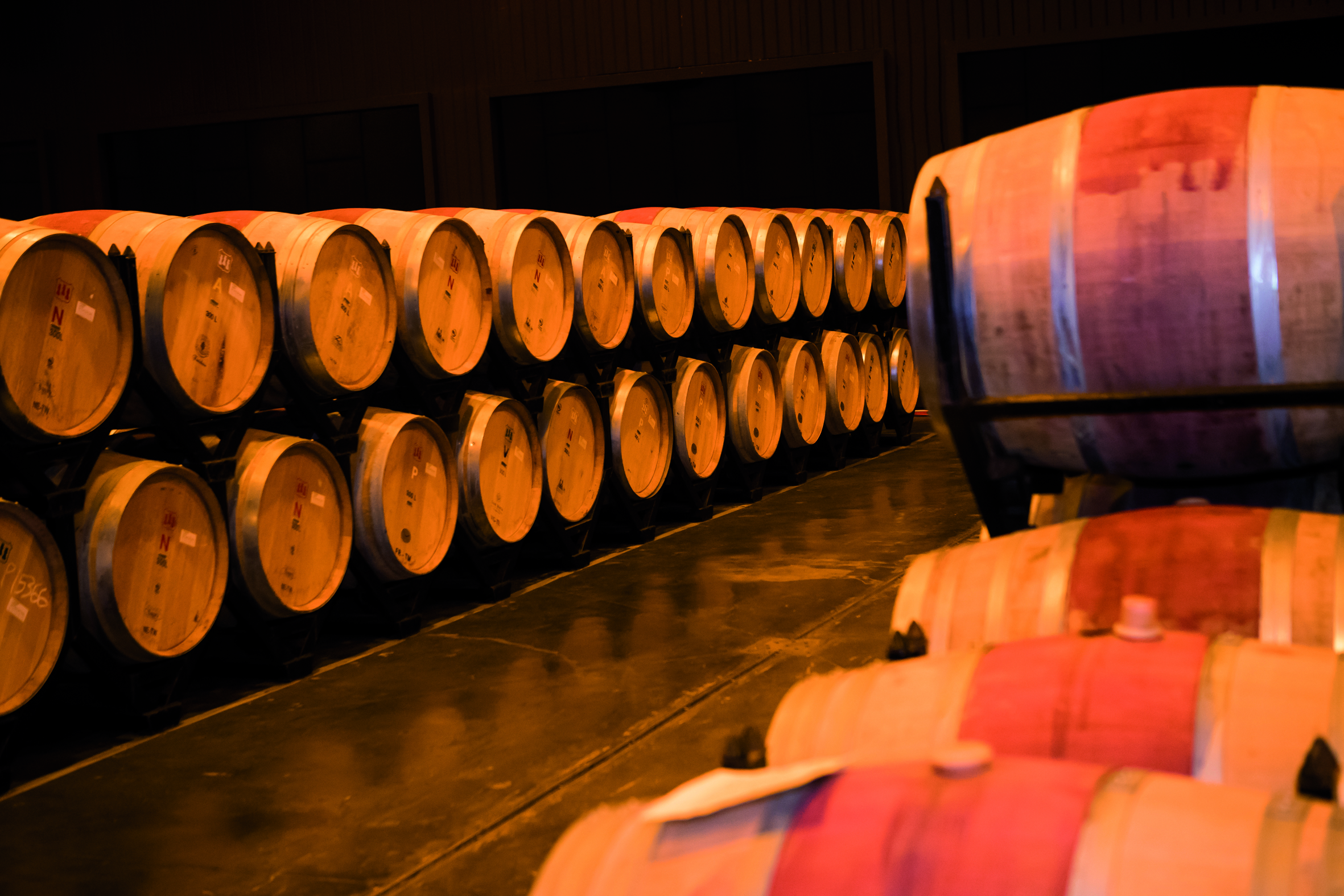 Barricas de reposo del vino en la bodega Waltraud (DO Penedès)