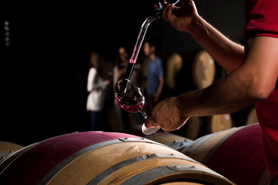 Exclusive Wine Experience