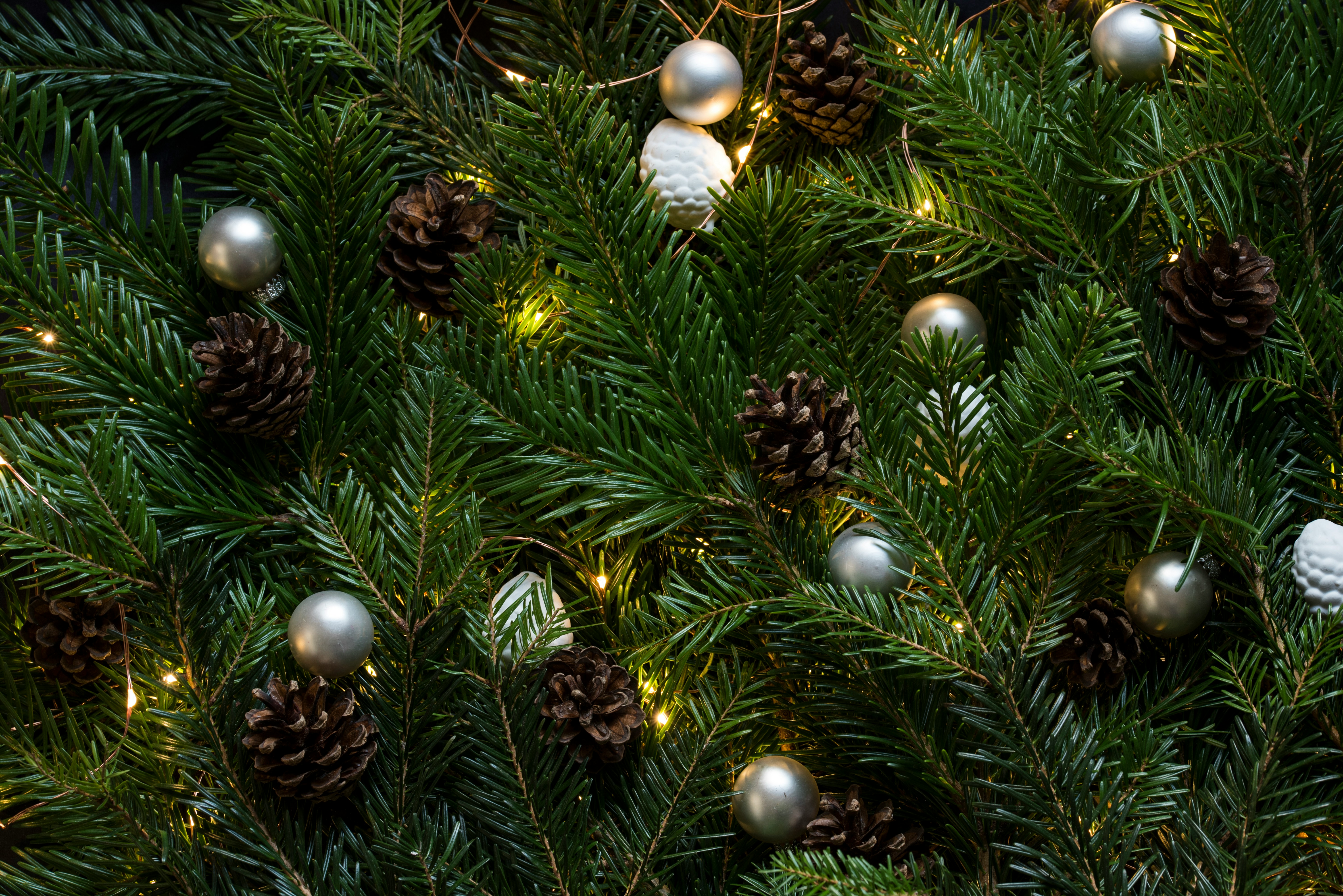 Abeto natural decorado con bolas, piñas y luces.