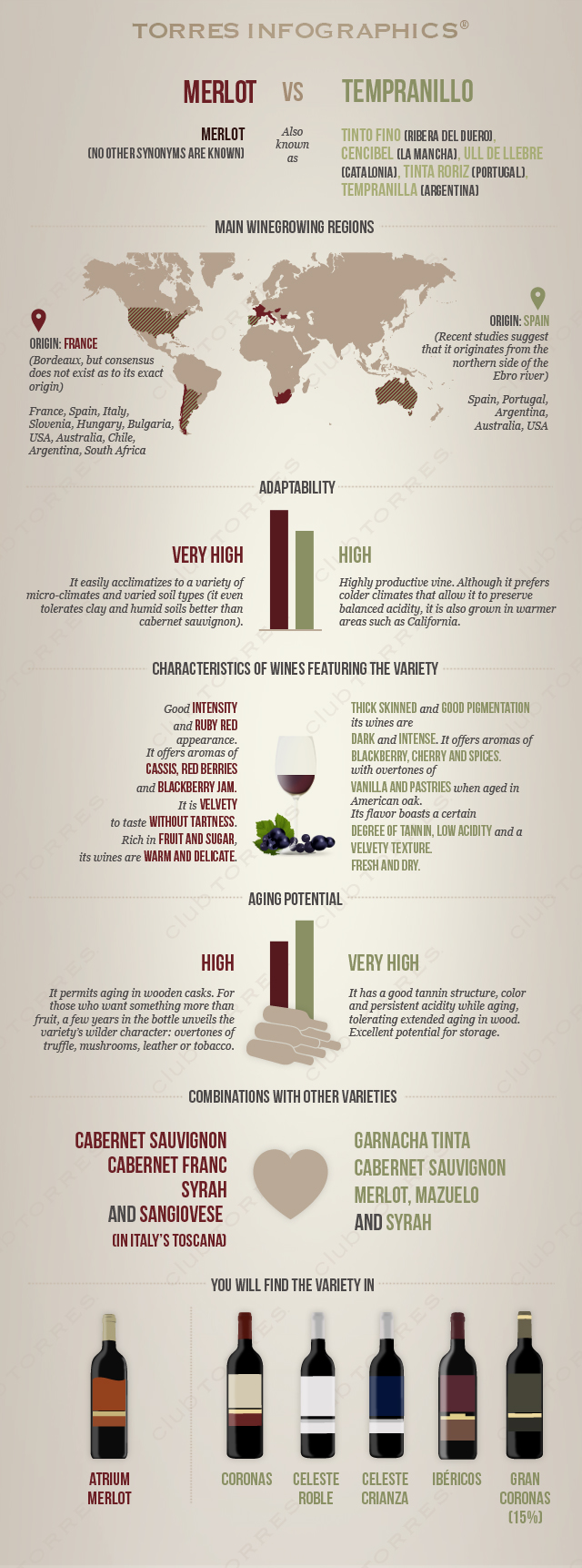 merlot vs tempranillo