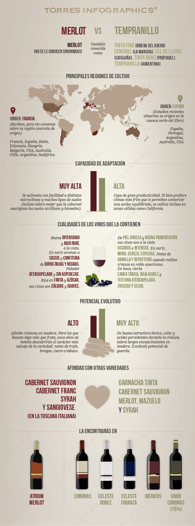 merlot vs tempranillo