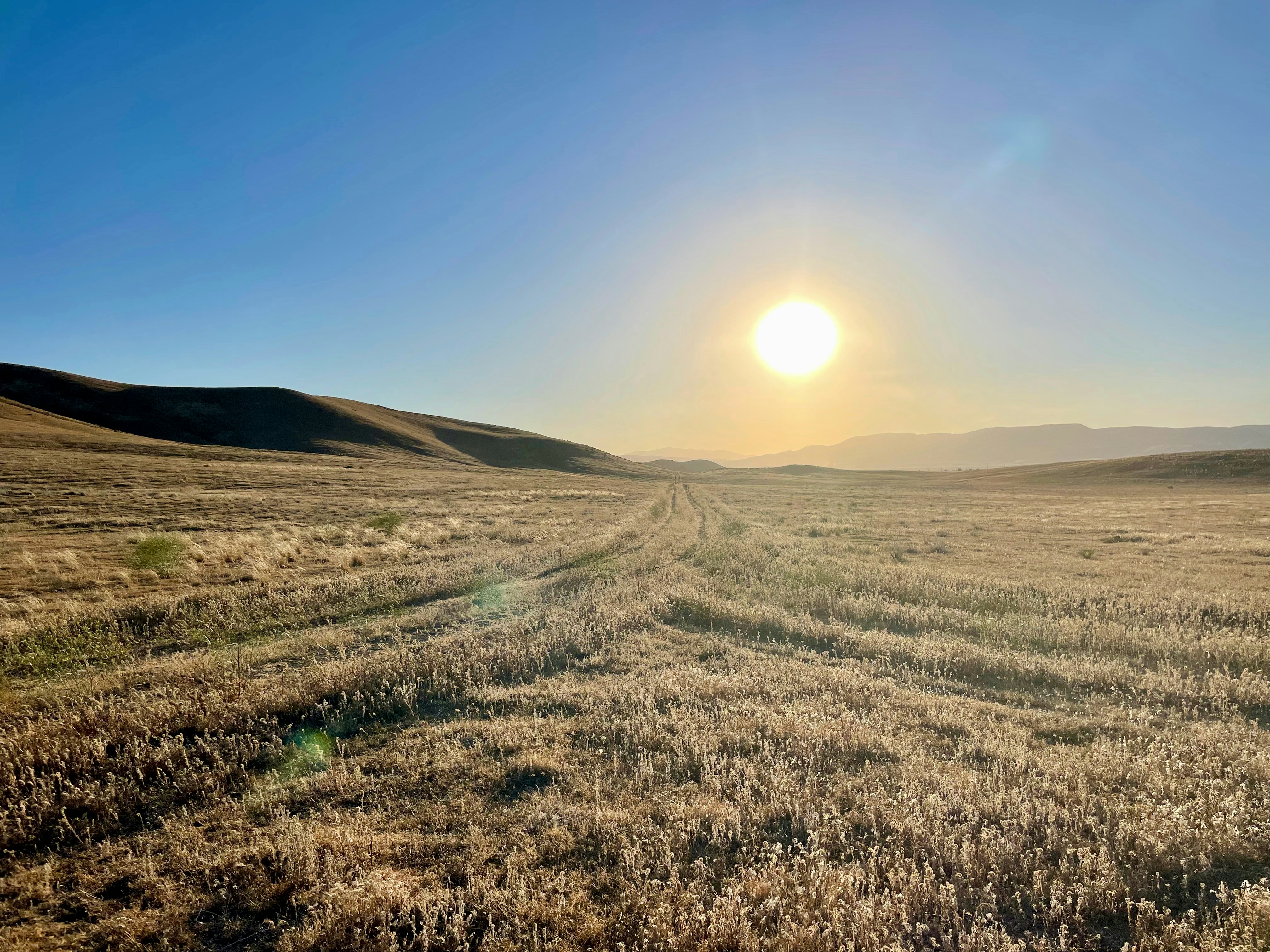 El calor extremo amenaza al campo