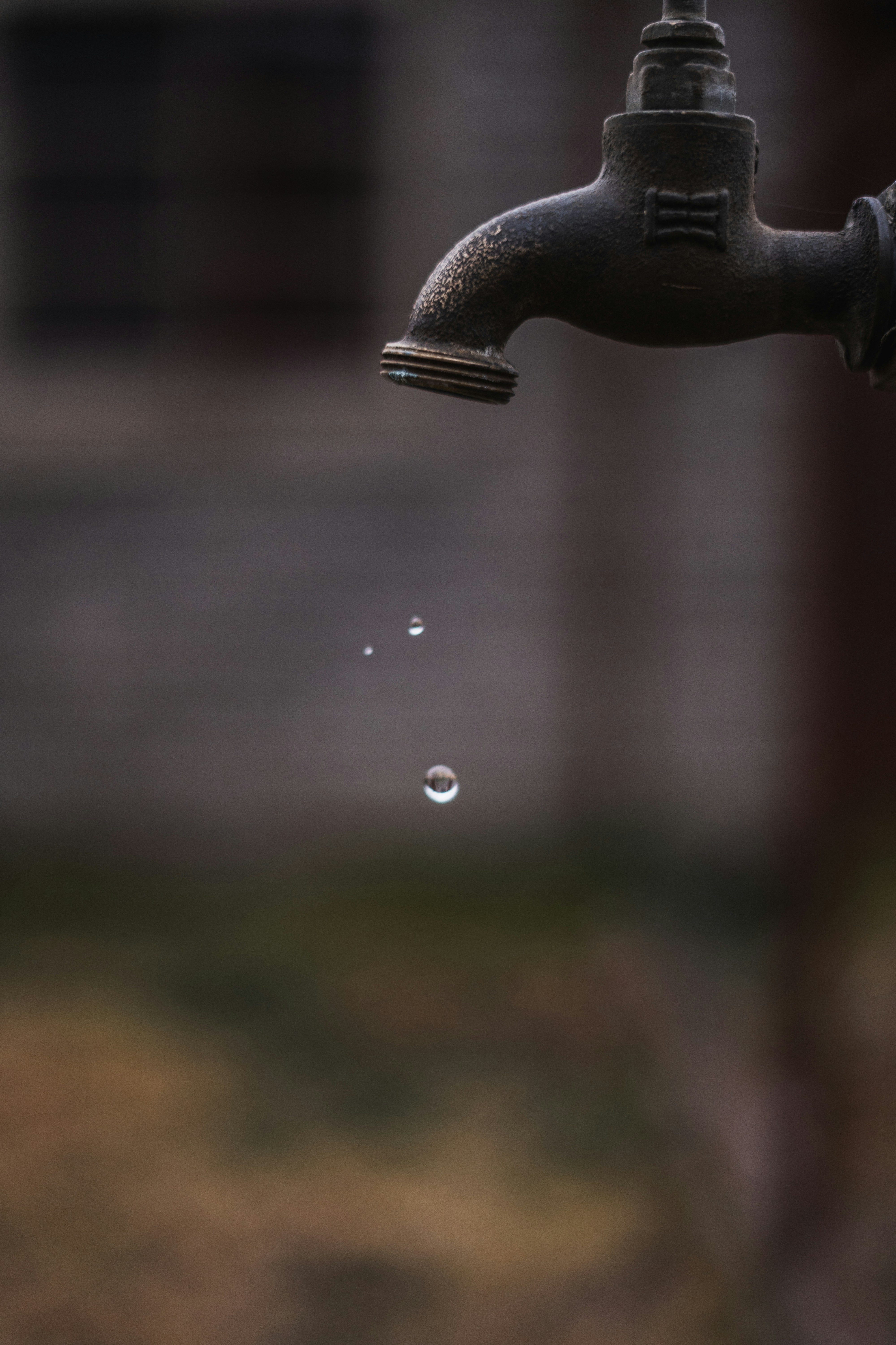 Grifo de agua. &nbsp;