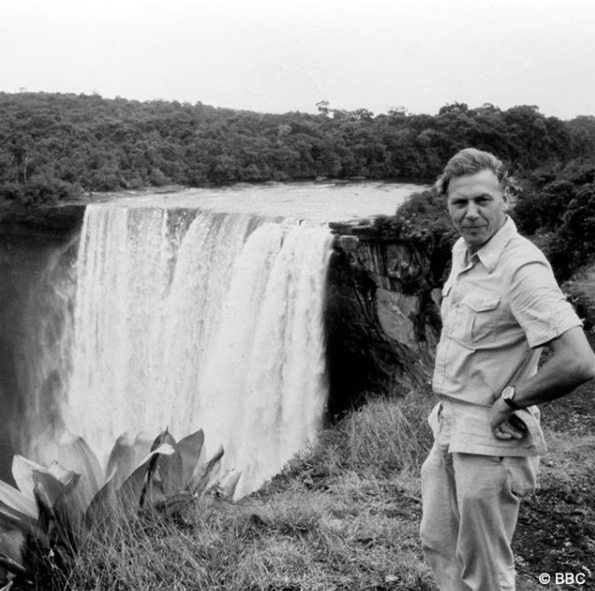 David Attenborough, el legado de un gran divulgador Fotografía de David Attenborough en los 70s, extraída de la cuenta de Instagram oficial de @davidattenborough