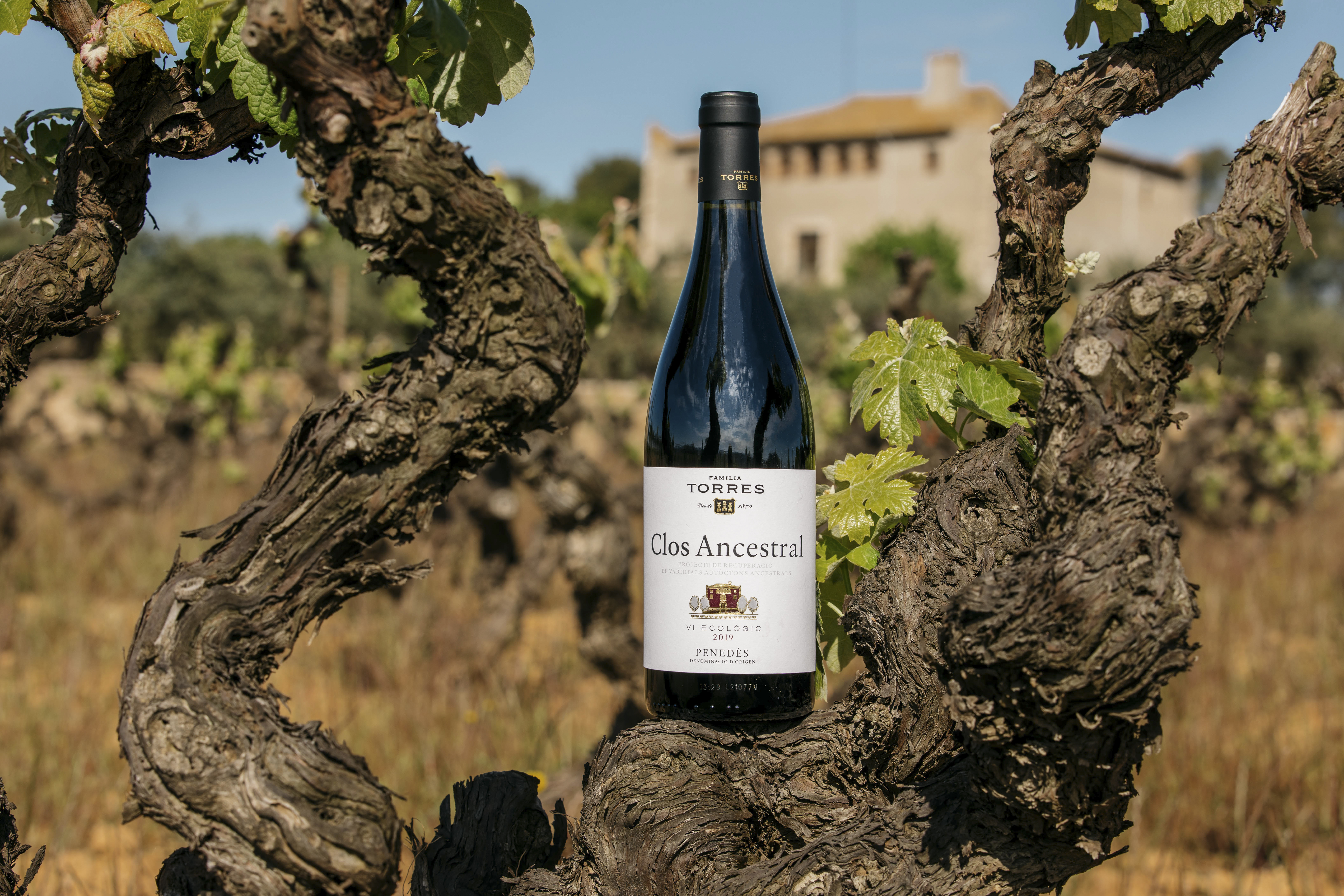 El vino Clos Ancestral, con el Castell de la Bleda al fondo