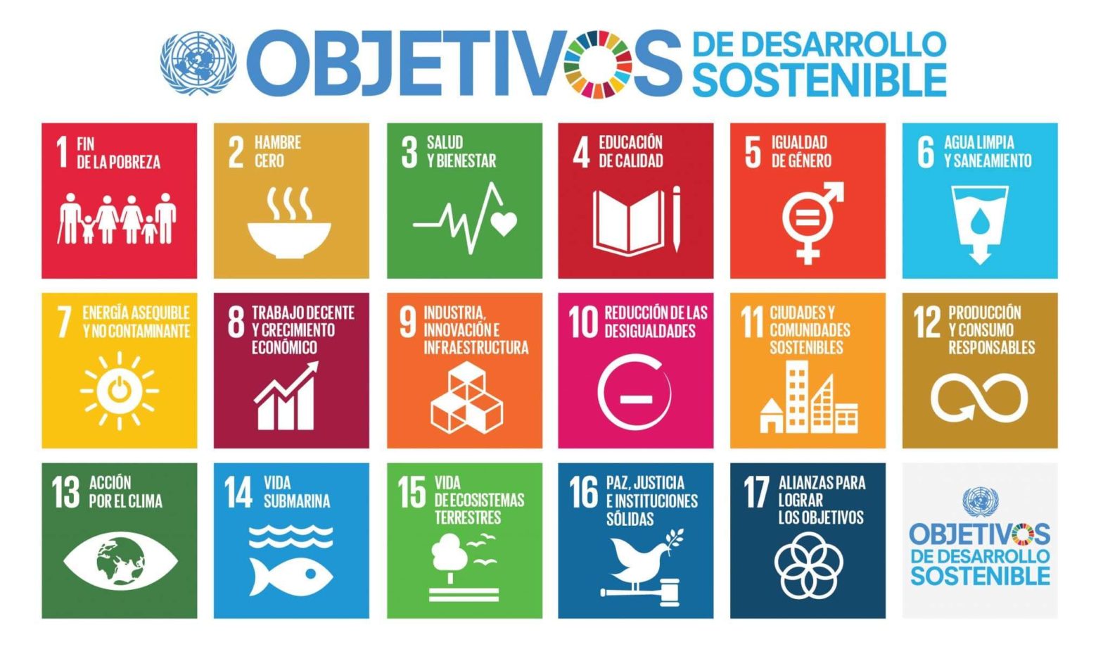 Los 17 objetivos de desarrollo sostenible. Fuente: ONU