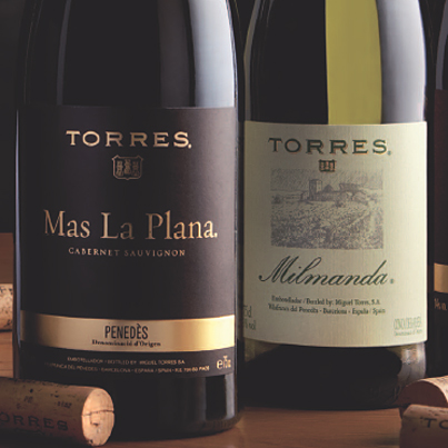 Charlas de Vinoteca (VI): Martín Berasategui