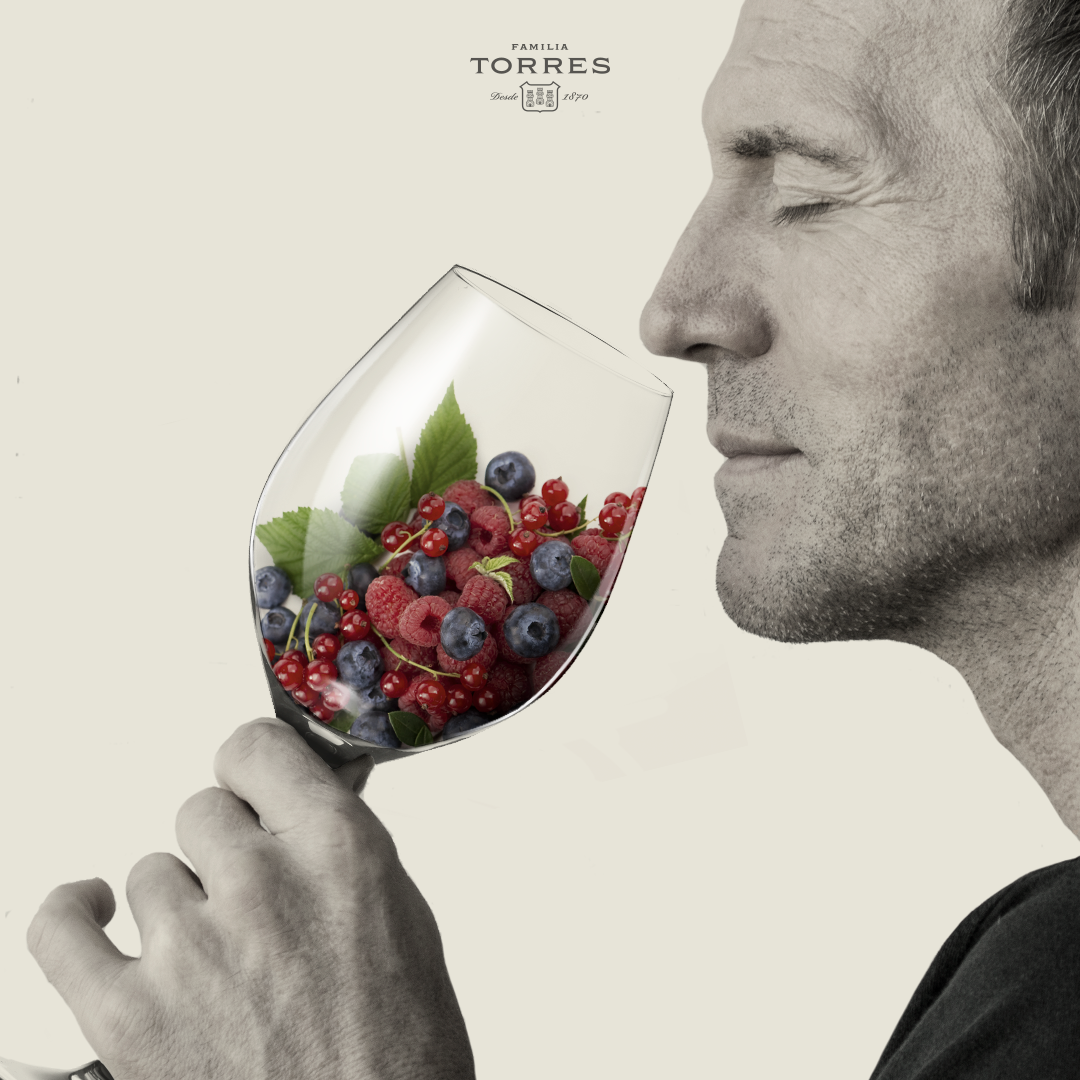 LA EXPRESIÓN DEL VINO EN COPA Imagen creativa que representa la fase olfativa de la cata