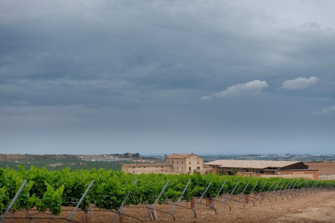 LOS VINOS DEL CIELO (I) La bodega Purgatori (DO Costers del Segre) rodeada de viñedos, en el corazón de Les Garrigues (Lleida).