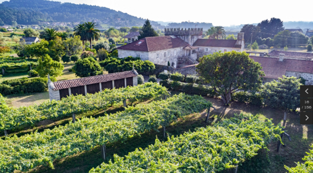 DE AQUELLAS VENDIMIAS, ESTOS VINOS (I) Pazo Torre Penelas (DO Rías Baixas) cuenta con un viñedo amurallado de seis hectáreas de albariño de entre 12 y 35 años