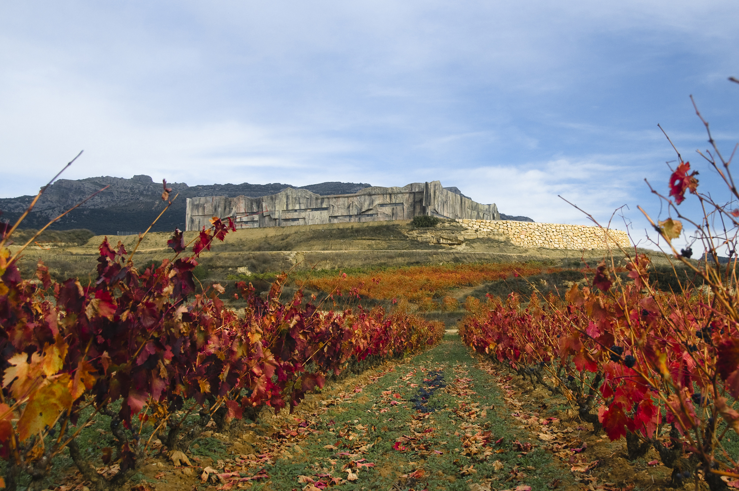 Vides en otoño, propiedad de Familia Torres, en la DOCa La Rioja. 