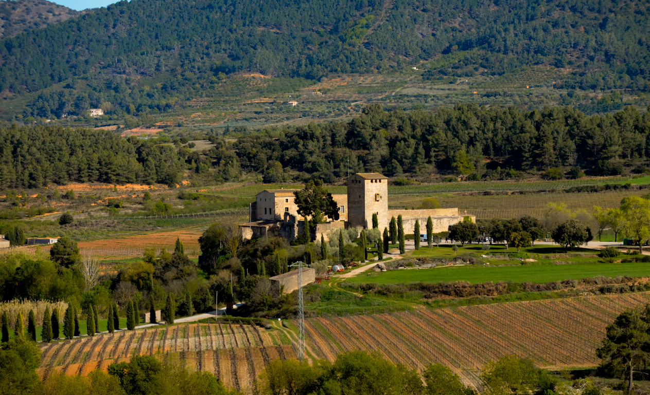 LAS MIL CARAS DE LA CHARDONNAY Finca Milmanda