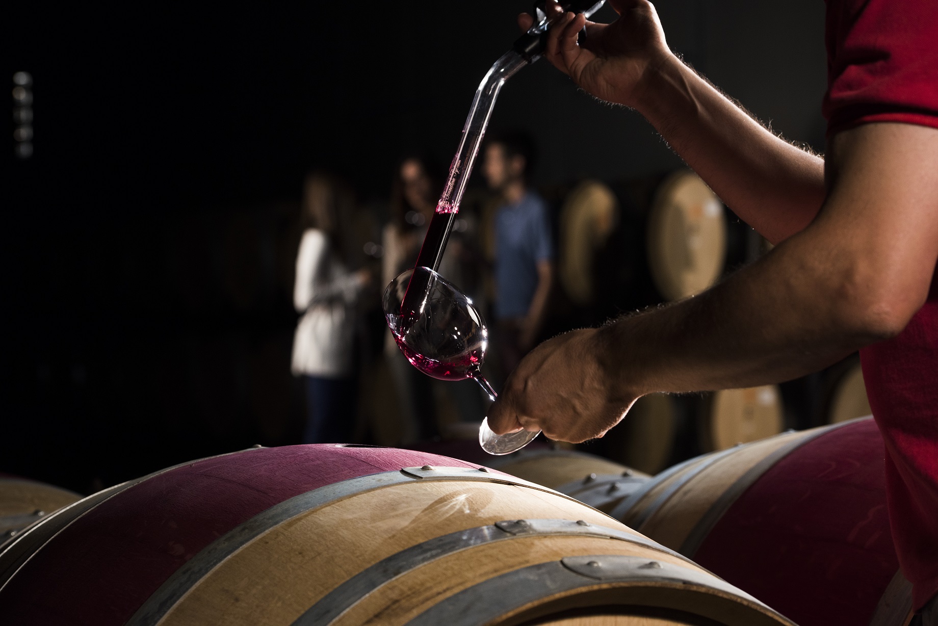 Cata de barrica