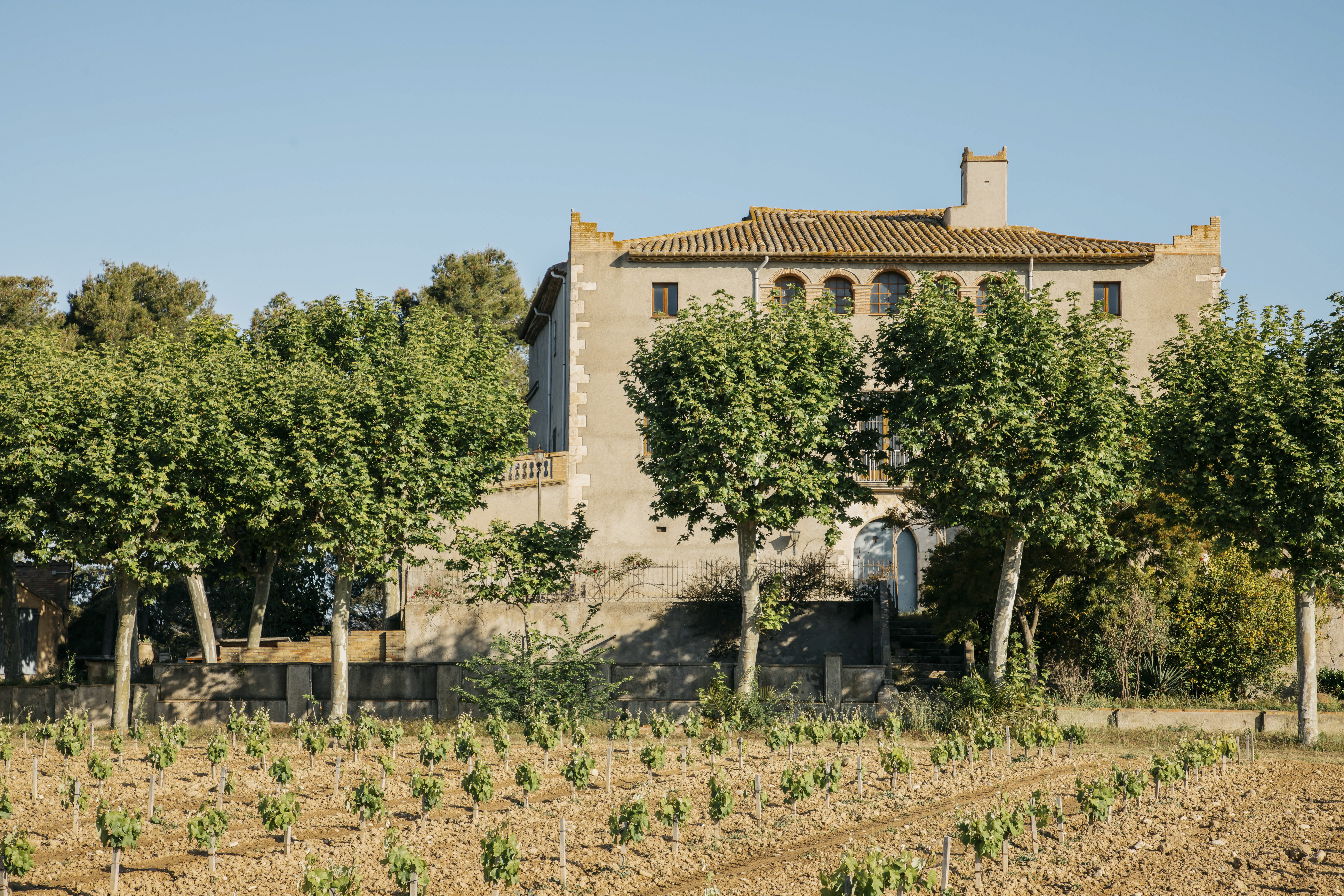 CLOS ANCESTRAL El Castell de la Bleda, ubicado en el municipio de la Bleda, propiedad de Familia Torres