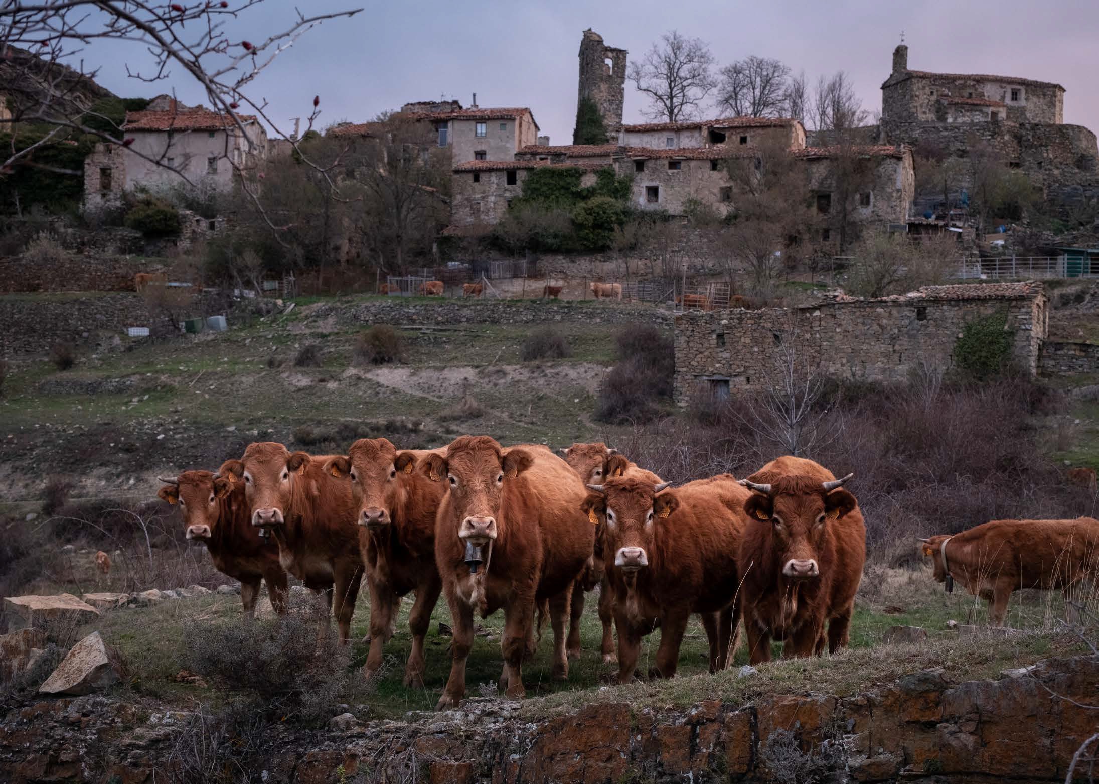 Proteger el mundo rural para conservar la naturaleza San Vicente de Munilla, La Rioja. © Greenpeace / Pedro Armestre