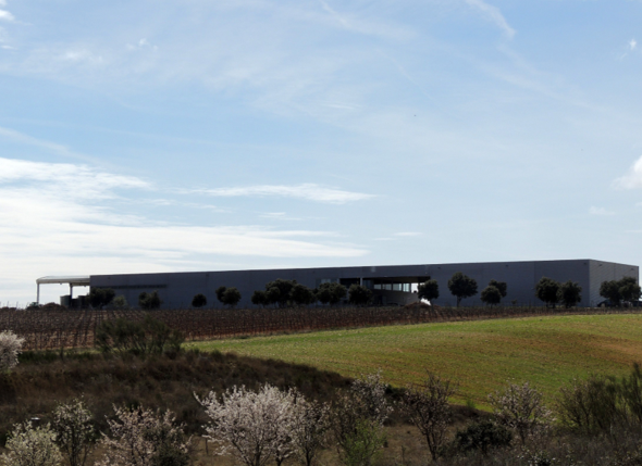 DE AQUELLAS VENDIMIAS, ESTOS VINOS (I) de Villafranca de Duero, la bodega Magarín está dedicada a la elaboración de Camino de Magarín y Verdeo, nuestros vinos 100% verdejo.