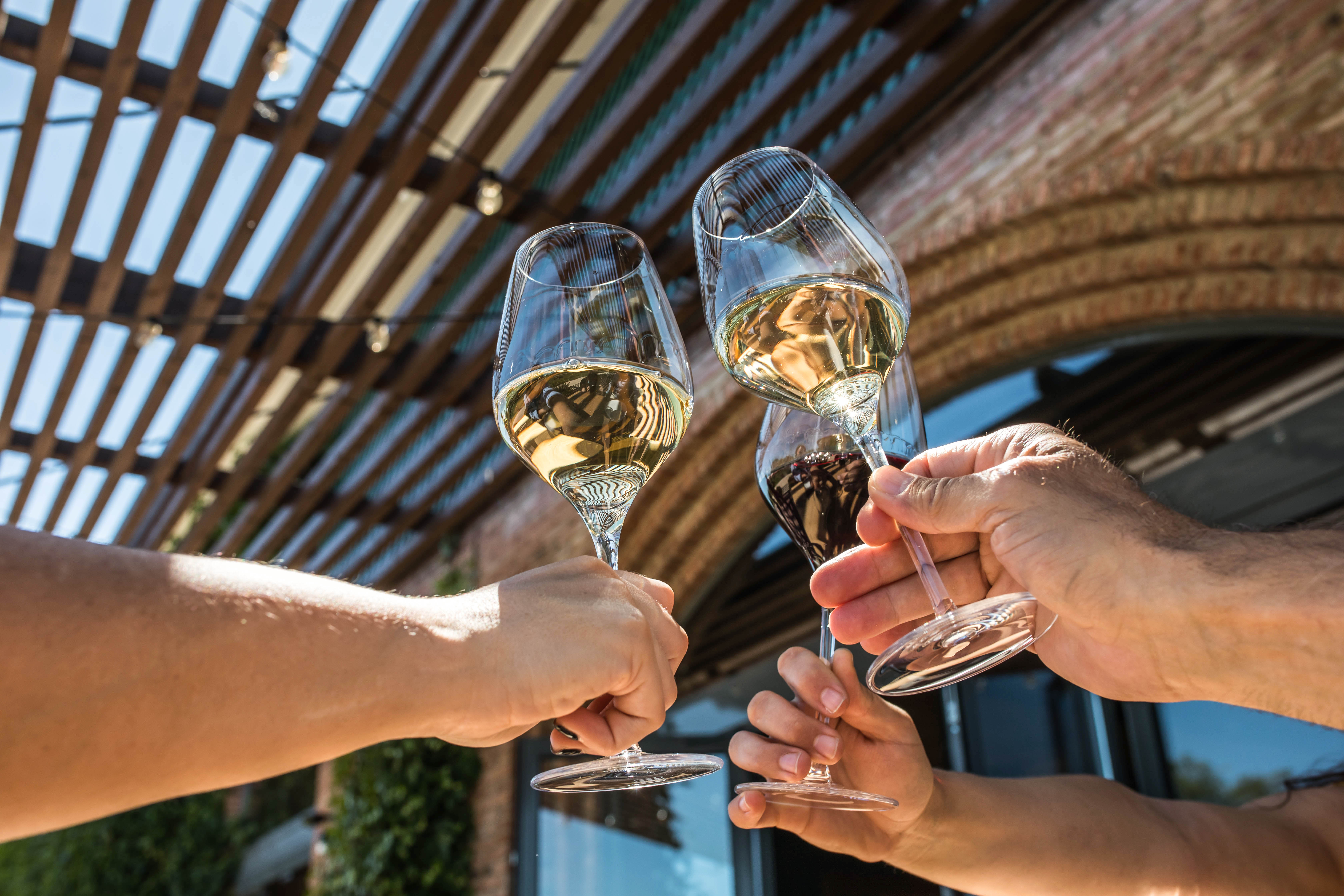 5 vinos blancos para días soleados Un brindis, un mediodia de junio
