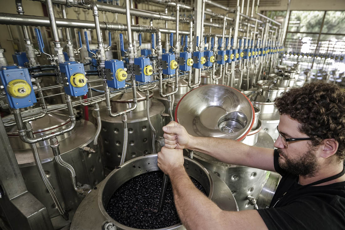 Microvinification winery