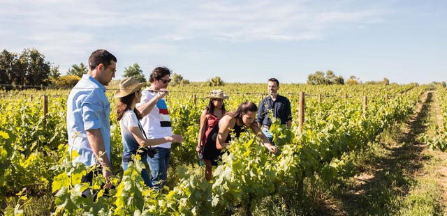 ENOTURISMO Experiencia Origen en el corazón de nuestra finca Mas La Plana (Pacs del Penedès)