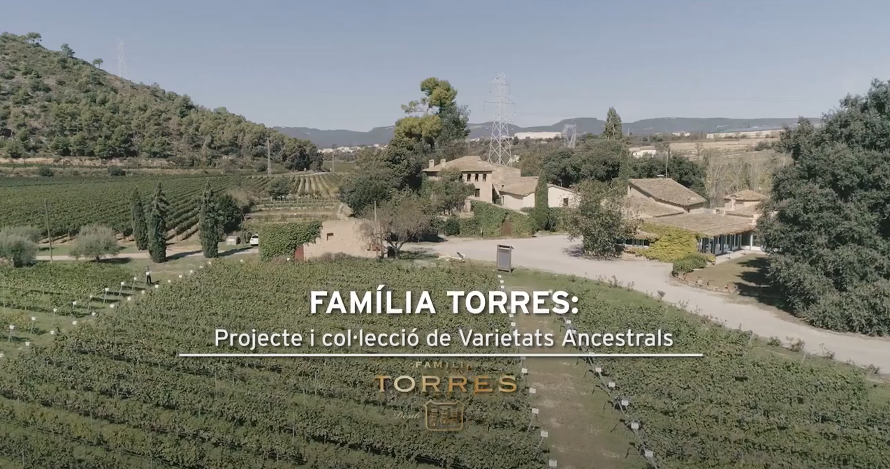 PROJECTE I COL·LECCIÓ DE VARIETATS ANCESTRALS