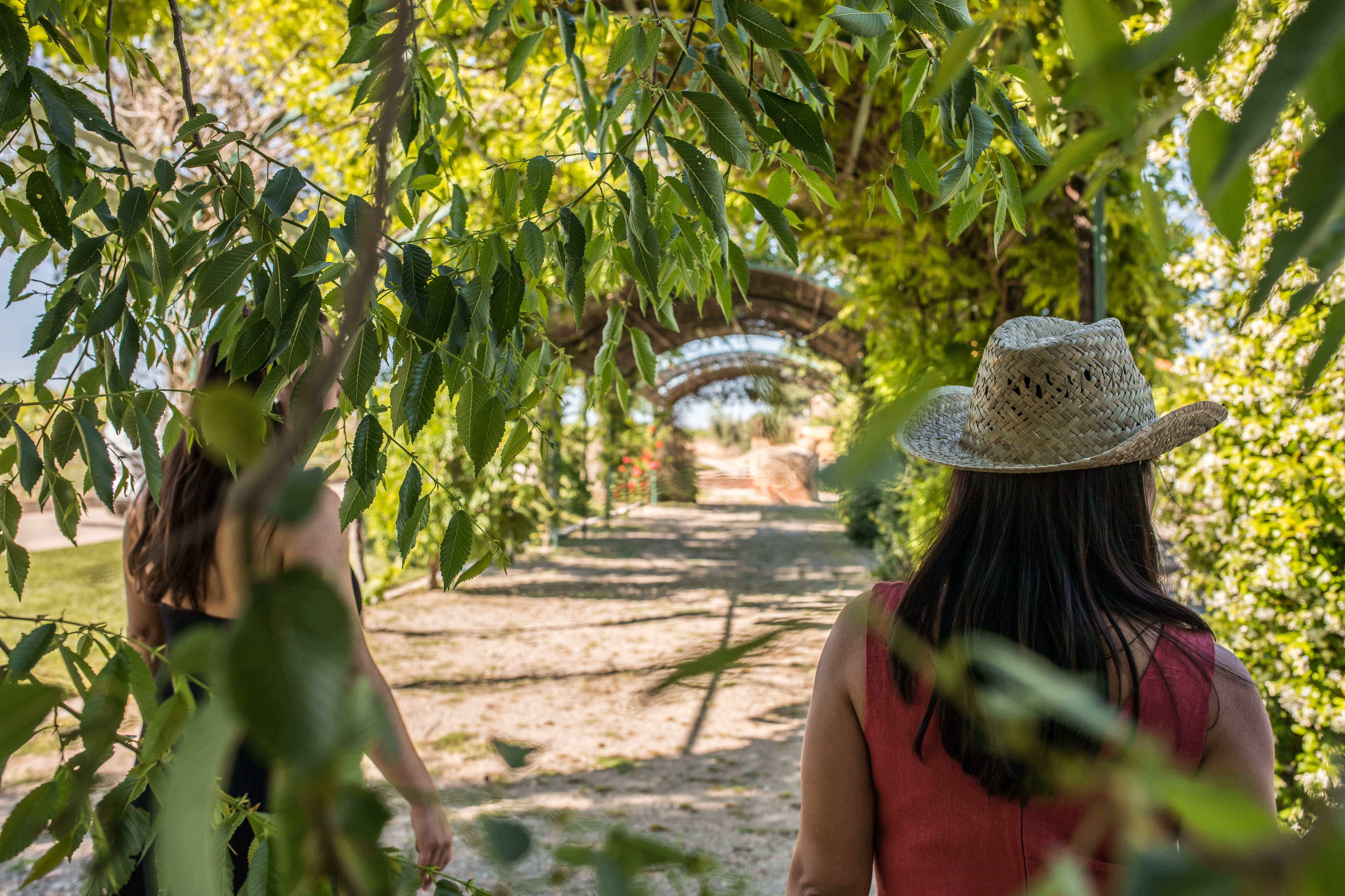 Tarde de verano en la bodega de Pacs del Penedès, propiedad de Familia Torres.