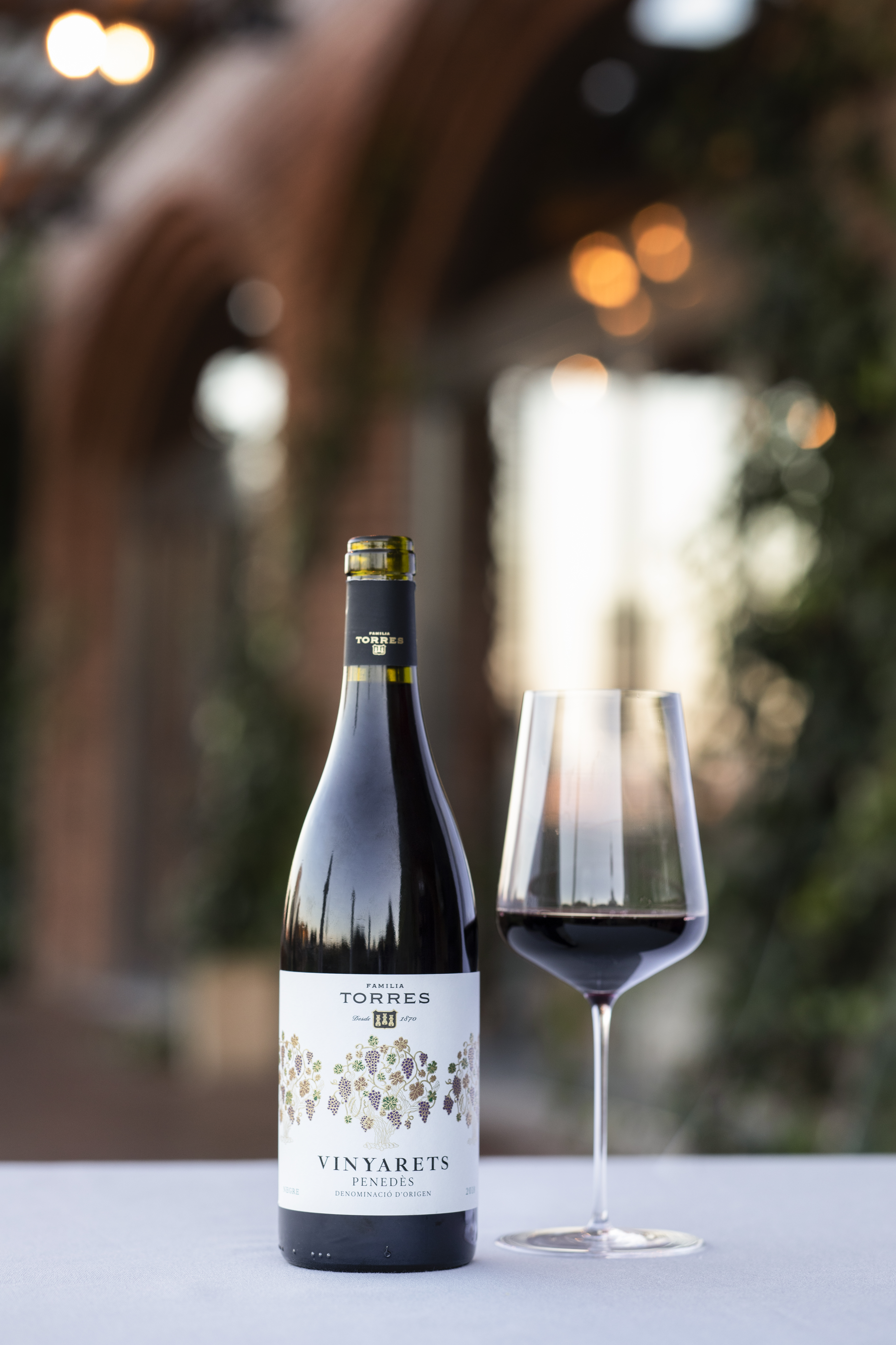 Vinyarets Tinto (DO Penedès)