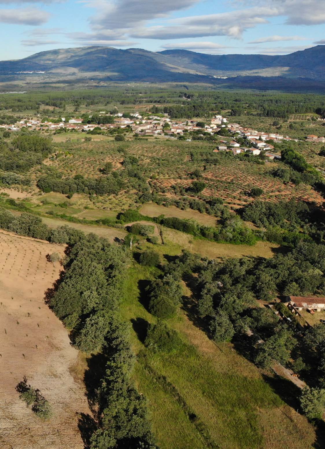 Proteger el mundo rural para conservar la naturaleza Ejemplo de paisaje mosaico en Villasbuenas de Gata, Cáceres,Extremadura. © Greenpeace / Pedro Armestre
