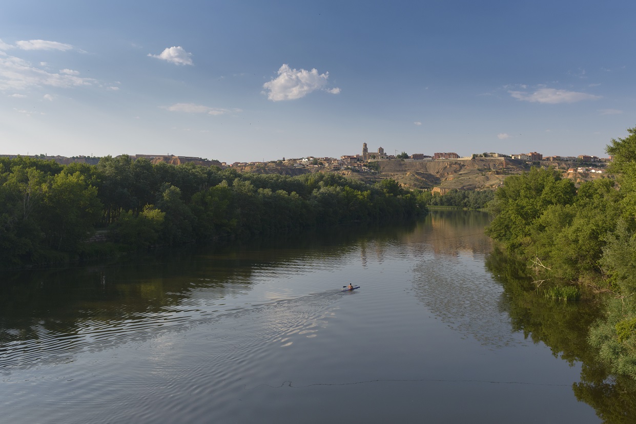 LOS VINOS DEL RÍO Villafranca del Duero