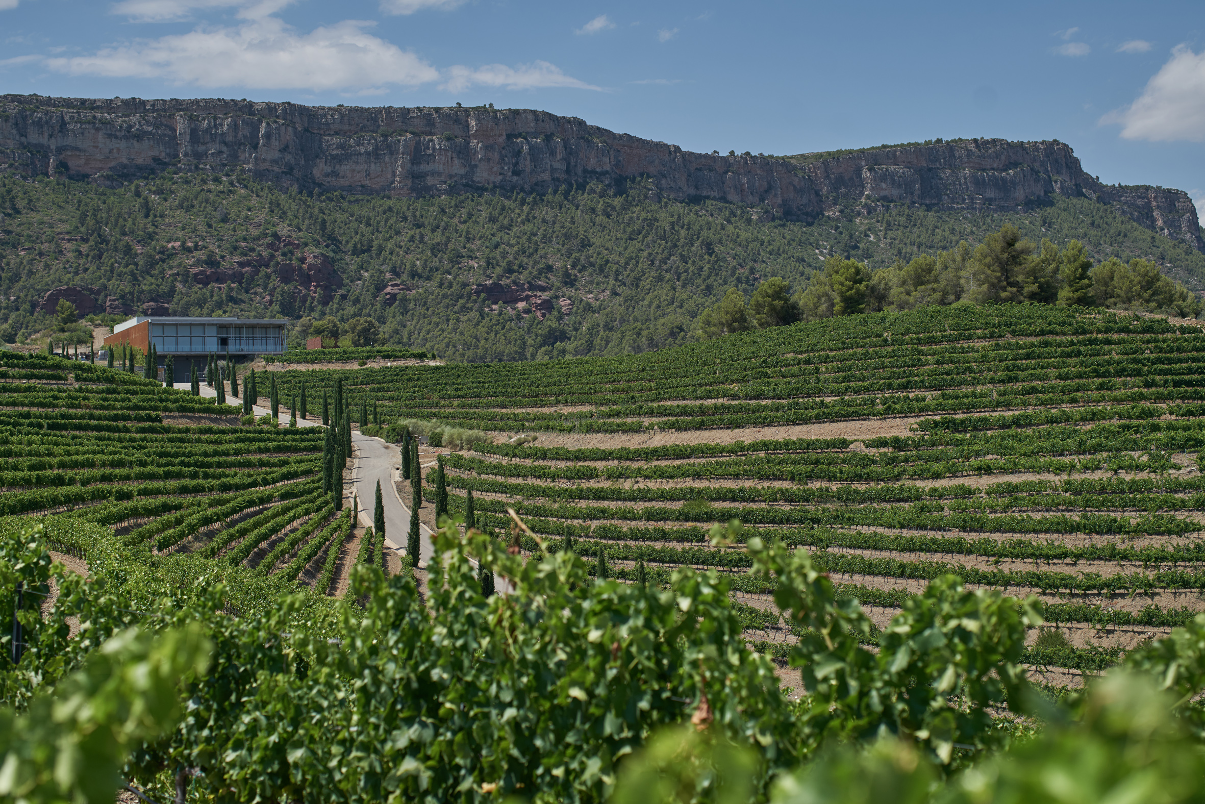 Bodega del Lloar propiedad de Familia Torres, en la localidad de el Lloar (DOCa Priorat). 