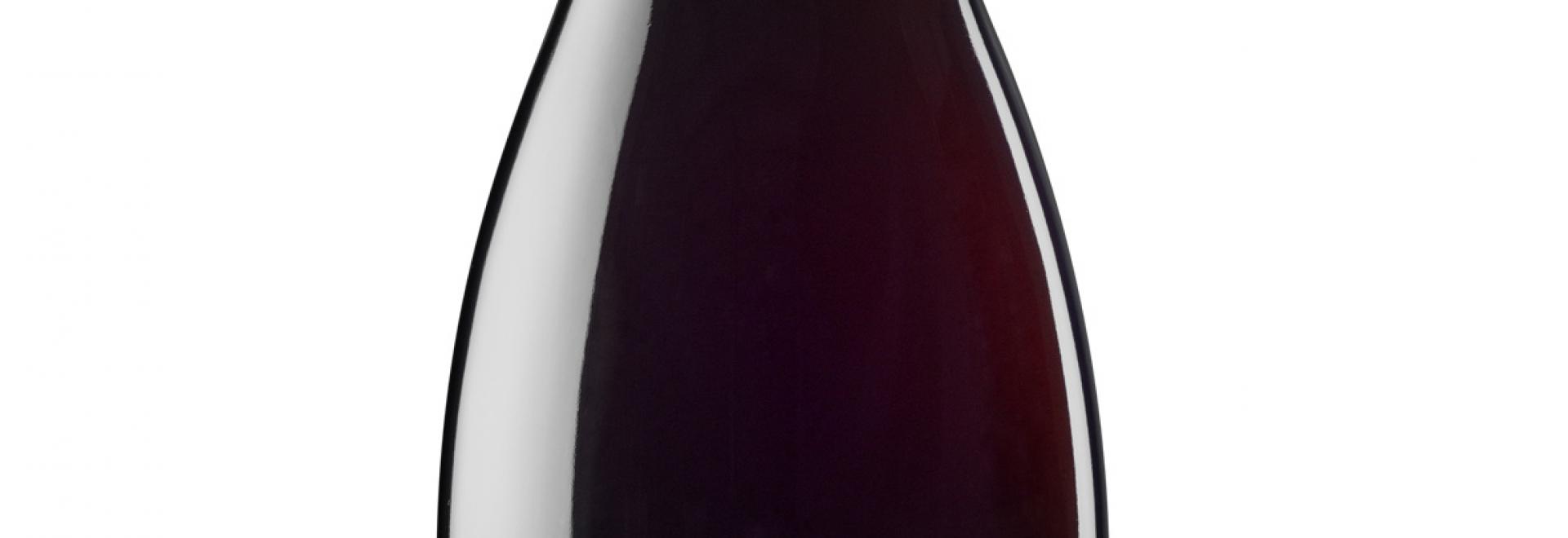 The El Celler de Can Roca Gastronomic Experience in Cancún will Feature