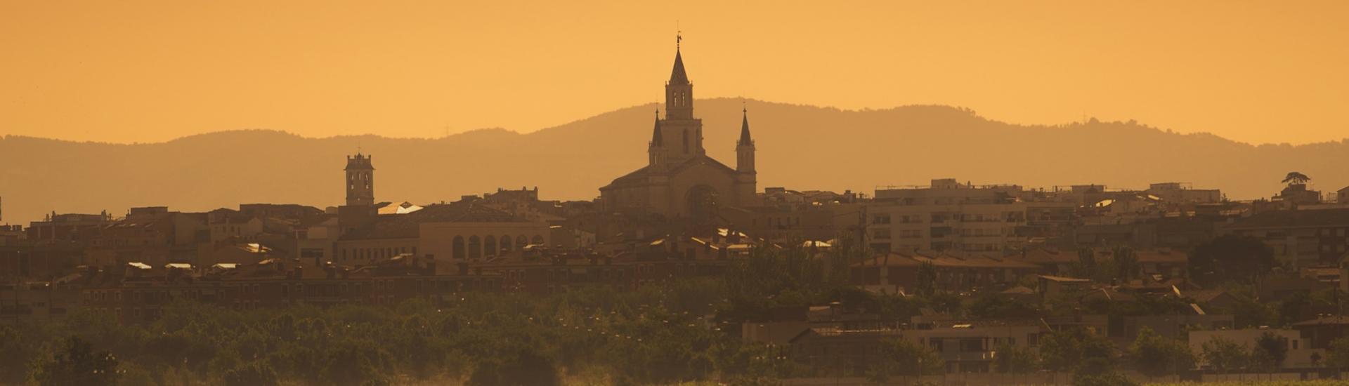 Vinos Torres