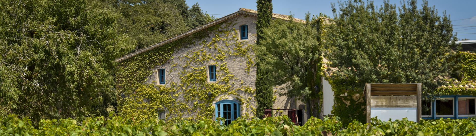 Bodegas Torres - Mas Rabell en Sant Martí Sarroca — espacio y venue para team building y eventos corporativos · recomendado por Dreams & Adventures