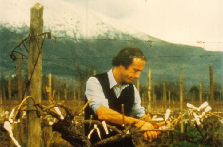 Fundación de Miguel Torres Chile