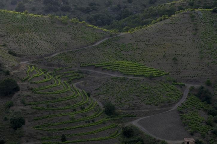 Mas de la Rosa