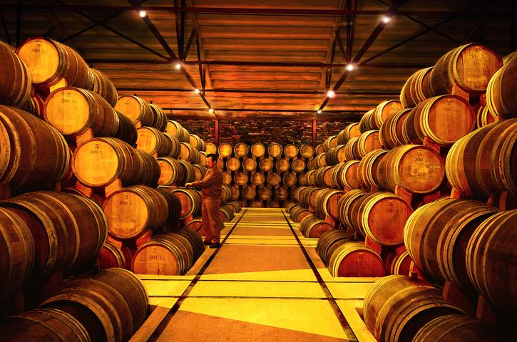 Elaboración de los primeros brandis