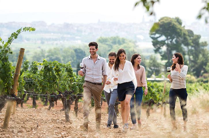 grupo de personas en viñedo