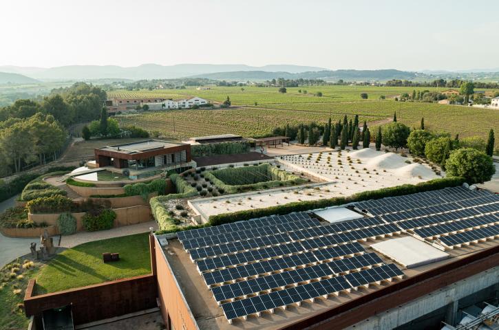 Placas fotovoltaicas. Familia Torres