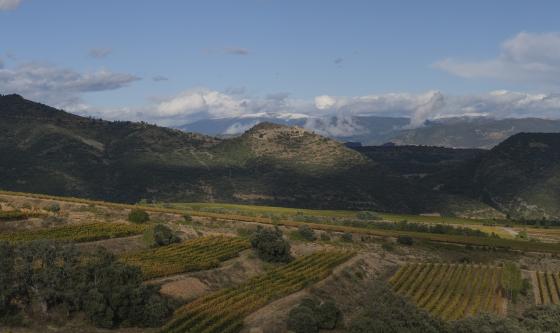 Familia Torres Sant Miquel Tremp