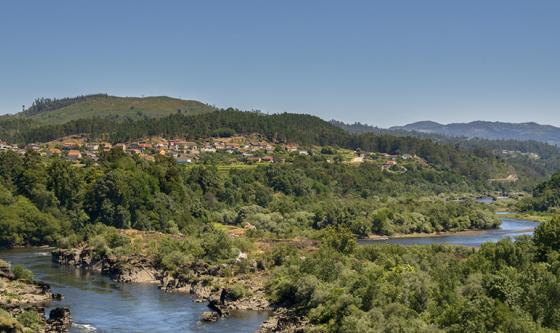 RIAS BAIXAS