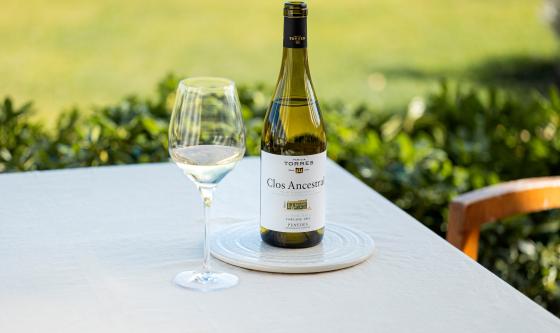 Clos Ancestral Blanco