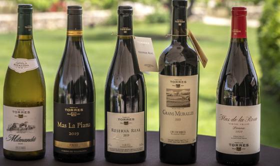 Vinos AMT