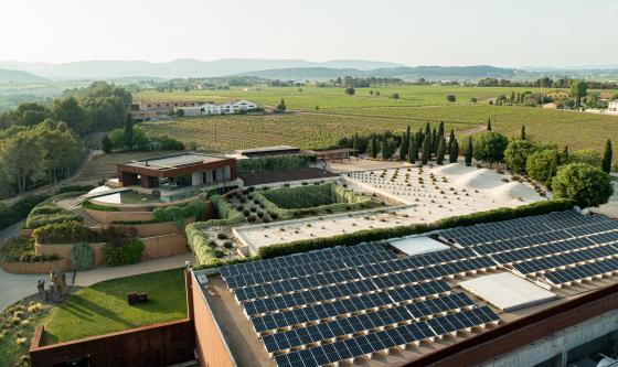 Placas fotovoltaicas. Familia Torres