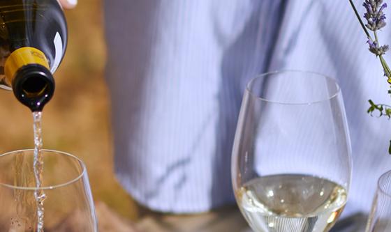 vinos y quesos