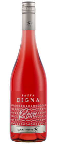 Santa Digna Rose